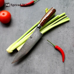 SW High Quality Knife Set 10Cr15CoMov Damascus Steel Japanese AUS10 Series Chef's 7.5-in Kitchen Knife 5.5-in Utility Universial