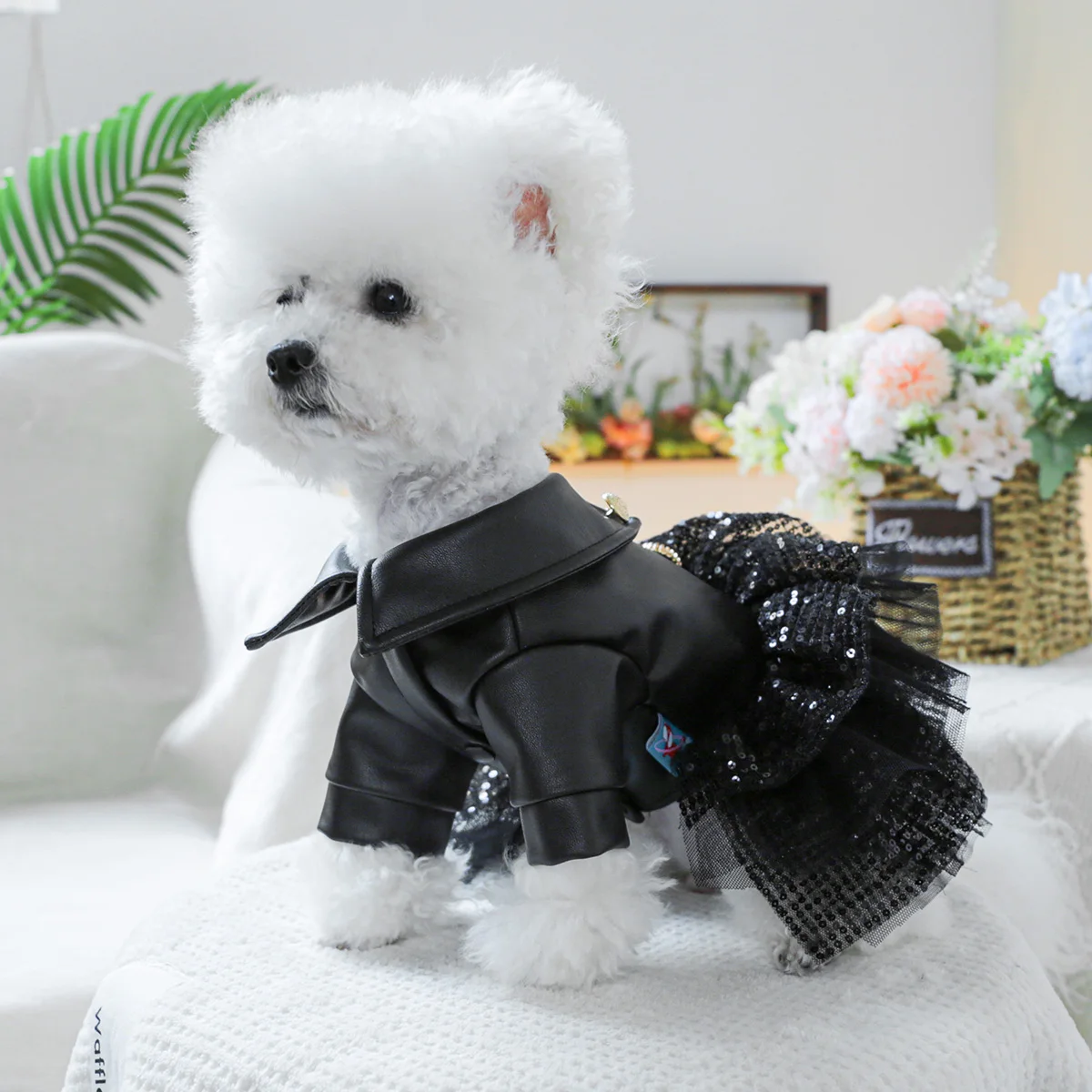 1PC pet clothing sequined small leather skirt autumn and winter handsome princess skirt suitable for small and medium-sized dogs