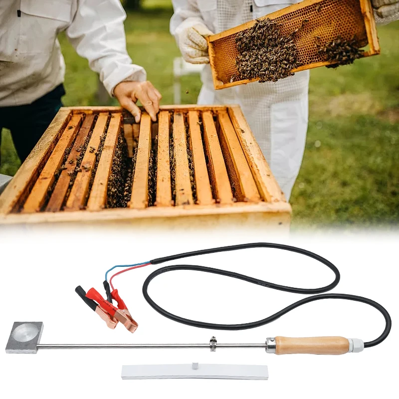 

Испаритель из бытовой кислоты Beehive, испаритель для пчел, оксиловая кислота, лечение клещей Varroa, нагревательный испаритель, инструменты для стерилизации пчеловодства