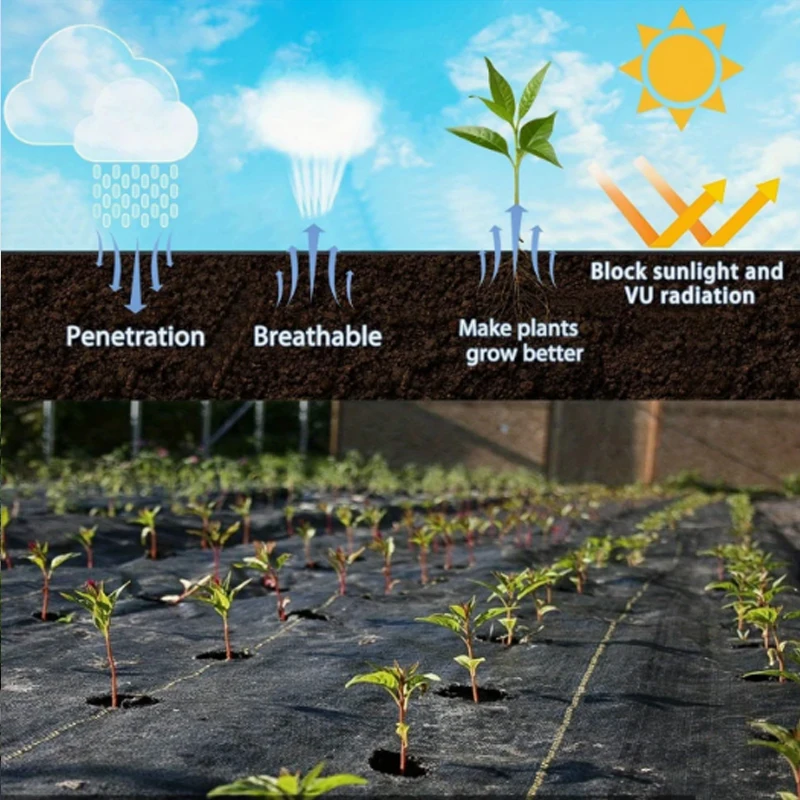 Verstärkte Unkrautvlies-Gewebeplane, Langlebige Vlies-Bodenabdeckung für Gartenbau und Landwirtschaft – Detail 9