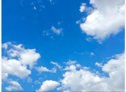 

Orders placed privately will not be accepted.