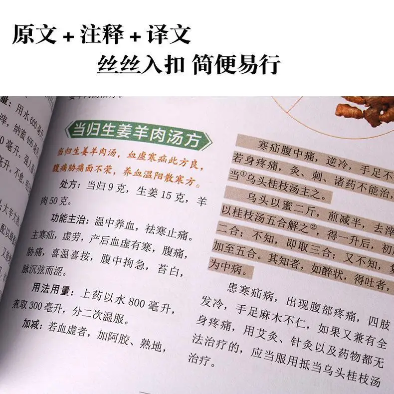 Typhoid Fever Zhang Zhongjing + Brief Introduction Of The Golden Chamber Two Tcm Clinical Series Libros