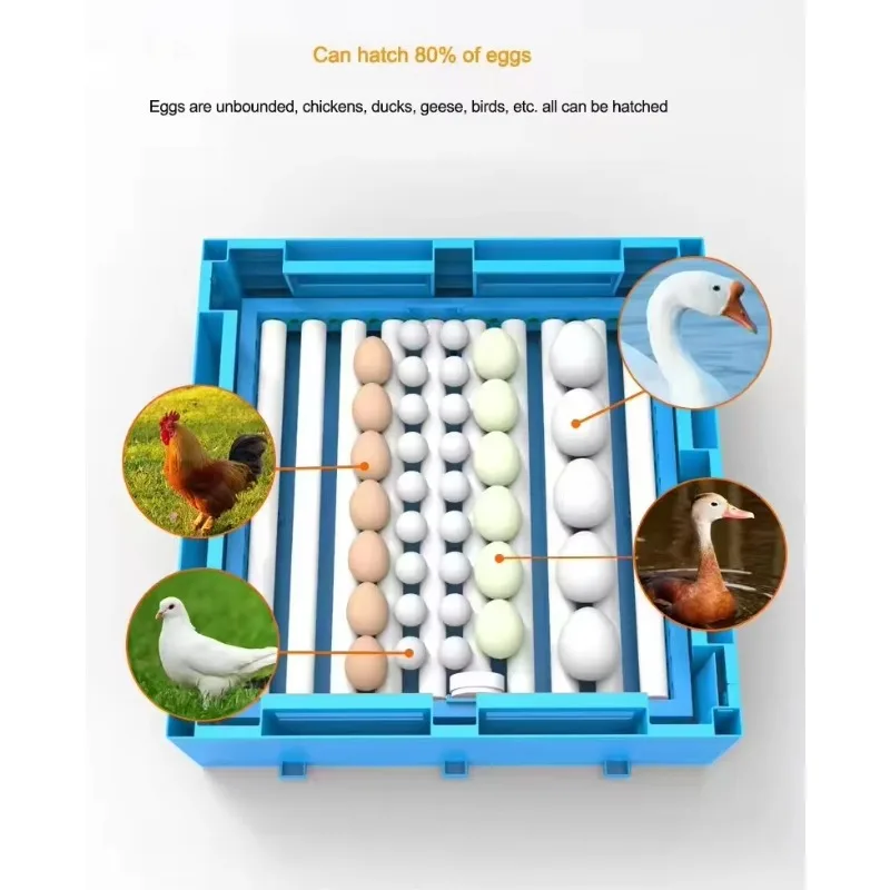 حاضنة بيض صغيرة بنظام شمسي 128 قطعة لدجاج البط تركيا مع التحكم التلقائي في درجة الحرارة وإمدادات المياه
