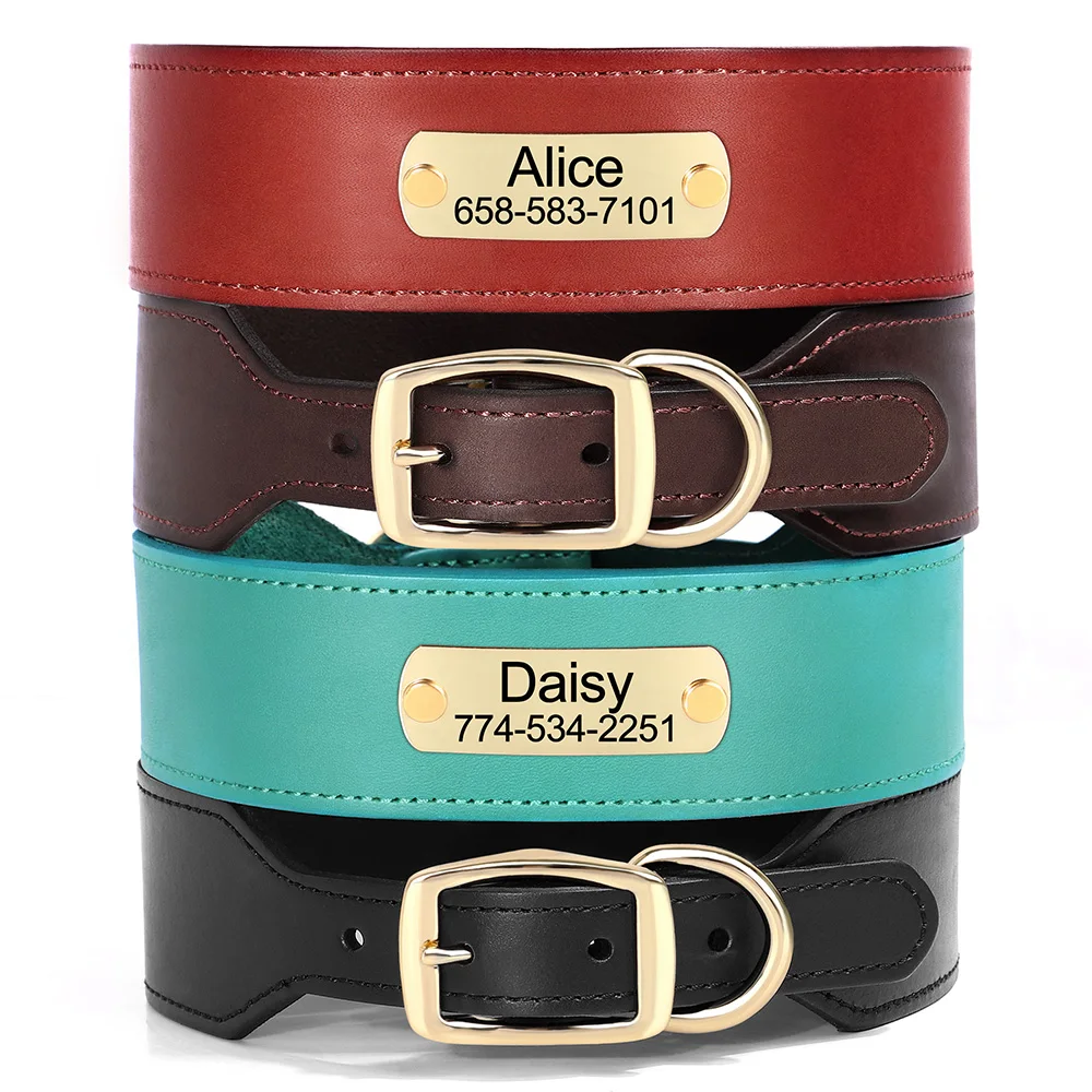 Wide Personalized Genuine Leather Dog Collar Custom Durable Collars for Medium Large Dogs Greyhound WIth Free Engraved Nameplate