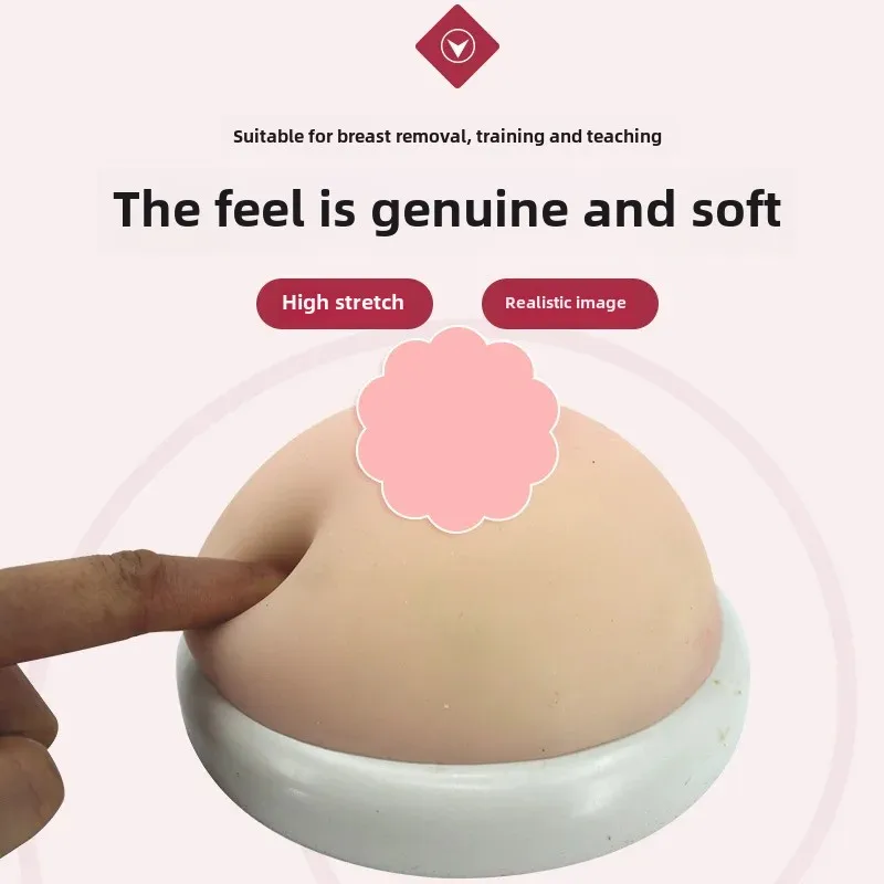 Women's Breastfeeding Simulation Training Tool Silicone Lactation Center Educational Equipment For Domestic Service Workers