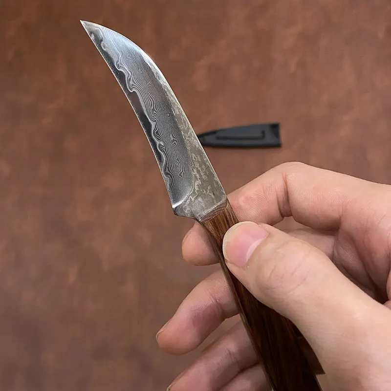 3 Inch Paring Knife 67-Layers Damascus Steel Blade Wood Handle Sharp Chef Cleaver Peeling Fruit BBQ Kitchen Knives Cooking Tools