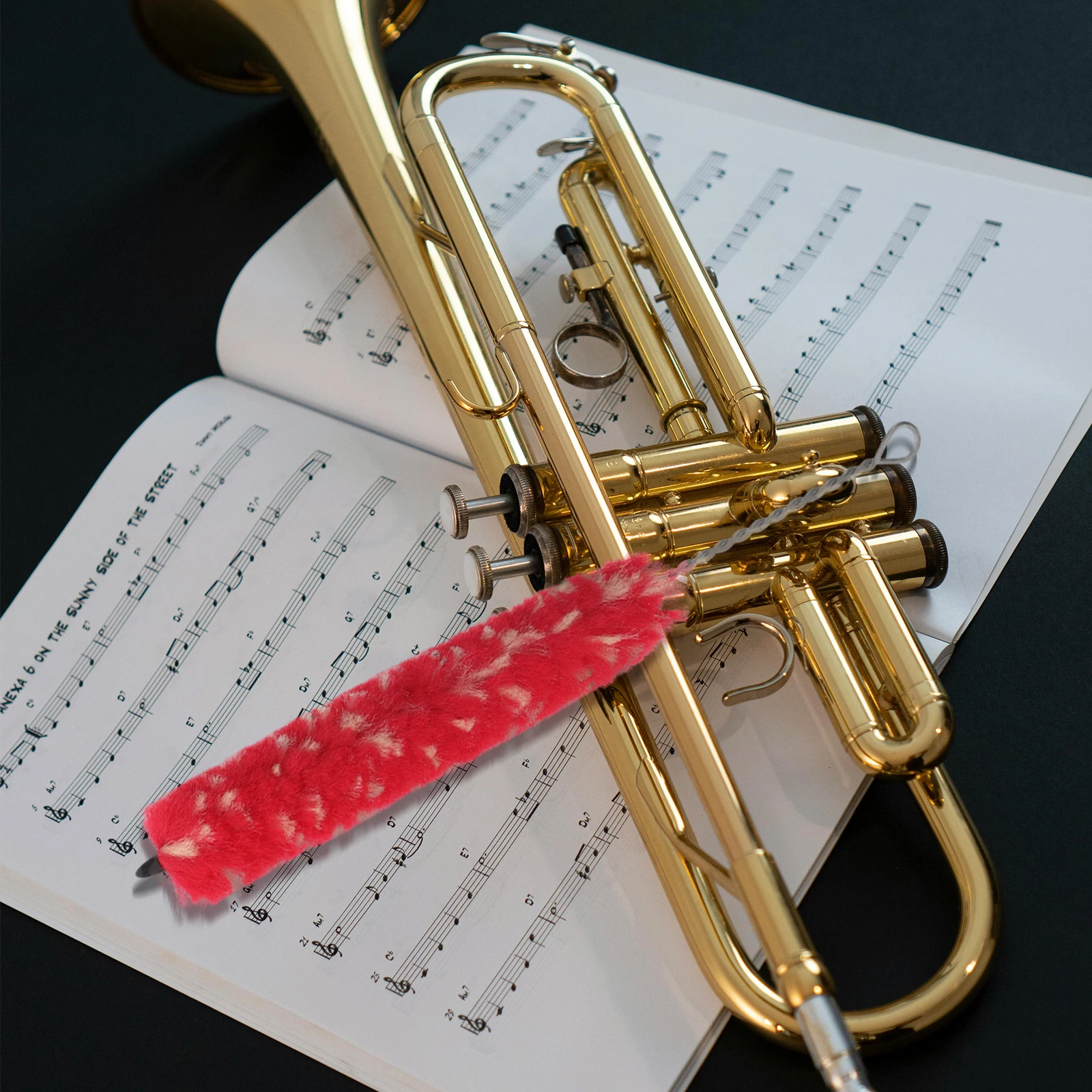 

Clarinet Cleaning Brush Microfiber Instrument Cleaner Flute Cloth Neck Maintenance Tool Swab Woodwinds Accessories Soft Bristles