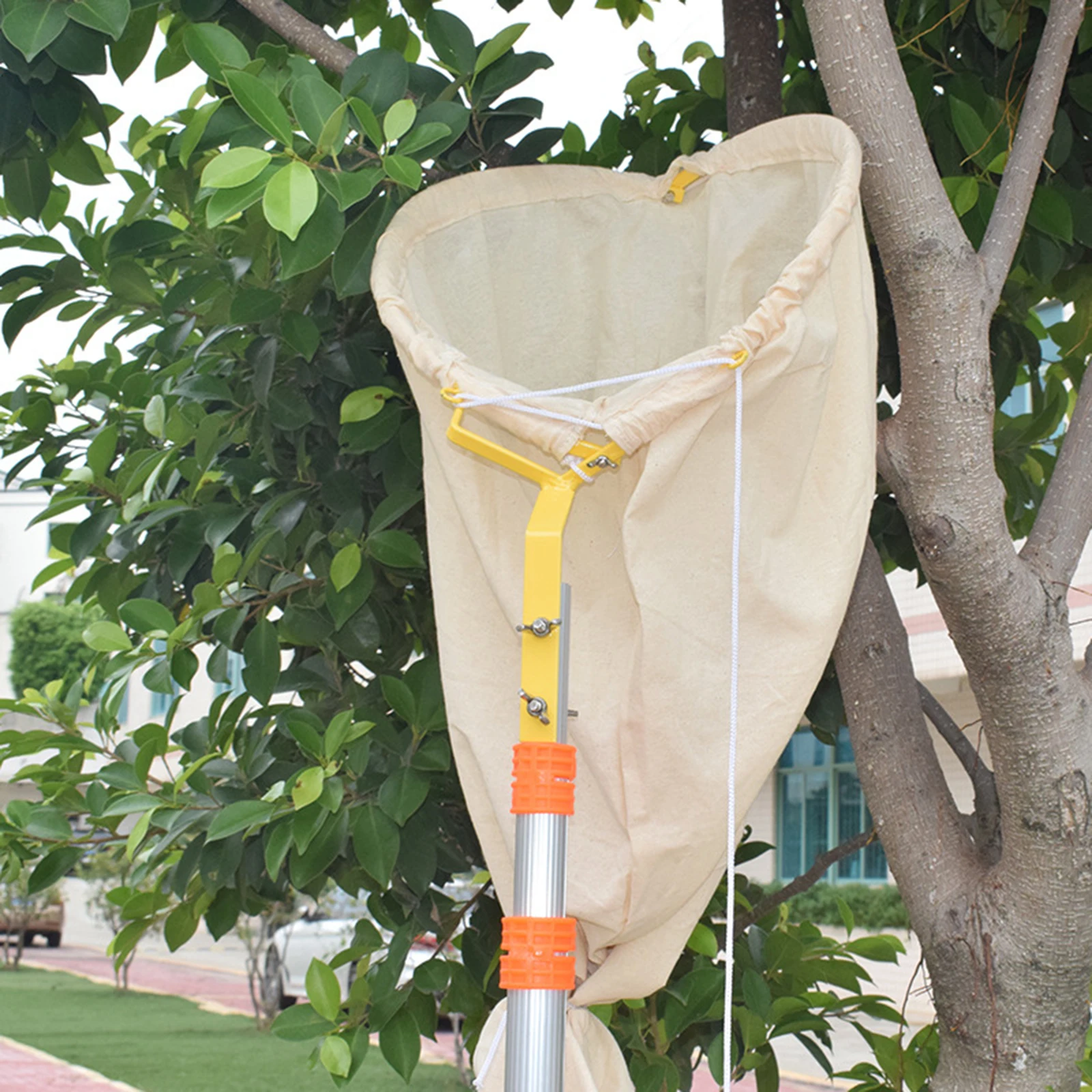 

Bee Swarming Catcher Bag Storage Case Beekeeper Tool Swarm Beekeeping Equipment Honeybee Bee Cage Beekeeping Bag
