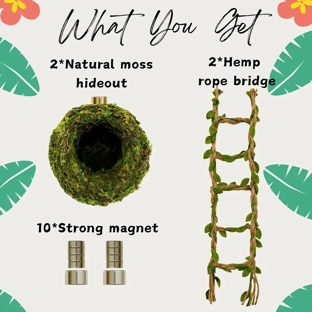 Jumping Spider Hideout, Habitat Decor— Handmade Moss Hideout & Hemp Rope Bridge, Fun Enclosure Accessories for Climbing & Hiding