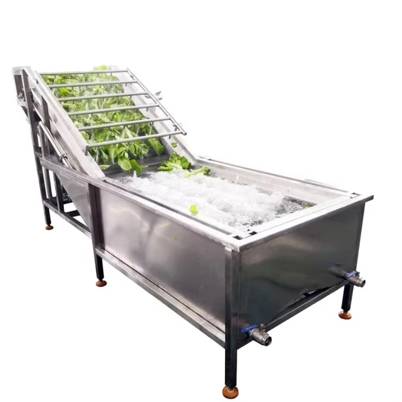 Industrial fruit and vegetable cleaning machine spinach leaf ozone bubble electric pump engine core components