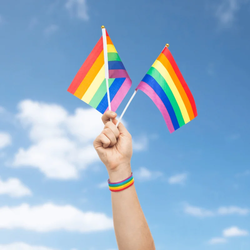 10 قطع 14X21cm قوس قزح العلم اليد المموجة العلم مثلي الجنس ثنائي الجنس المتحولين جنسيا Pansexual LGBT فخر شهر
