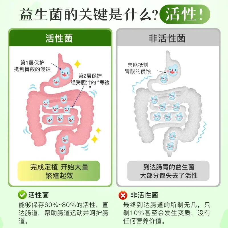 Intestinal health! Intestinal probiotic capsules can maintain the balance of intestinal flora and strengthen immunity