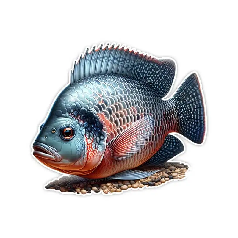 

Fat head Fish Decals Suitable for car decals Laptop decals Skateboard Decals Wall Decals and Toolbox Decals Decoration SH815