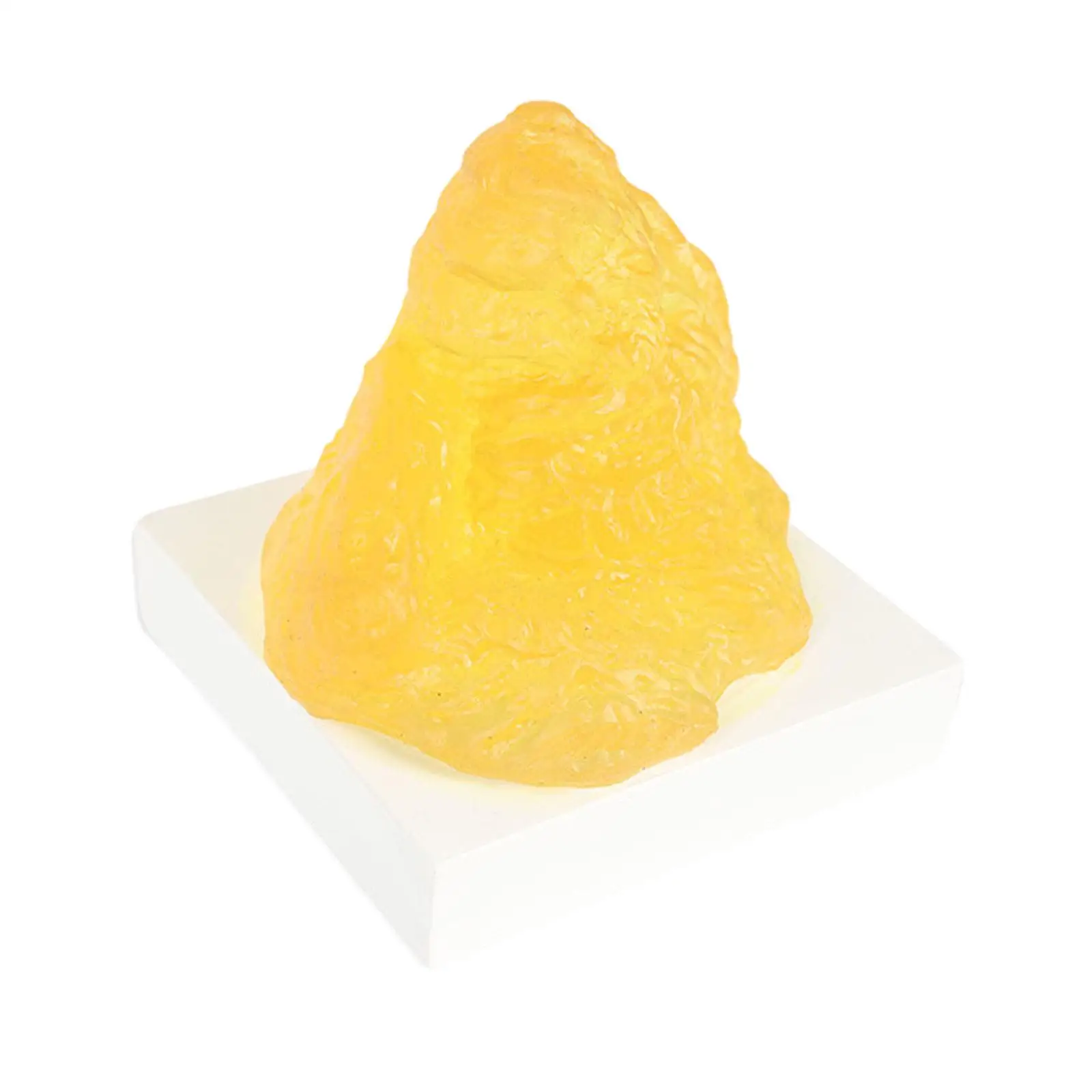 

Human Body Fat Replica Durable Fat Model for Loss Weight Demonstration Model