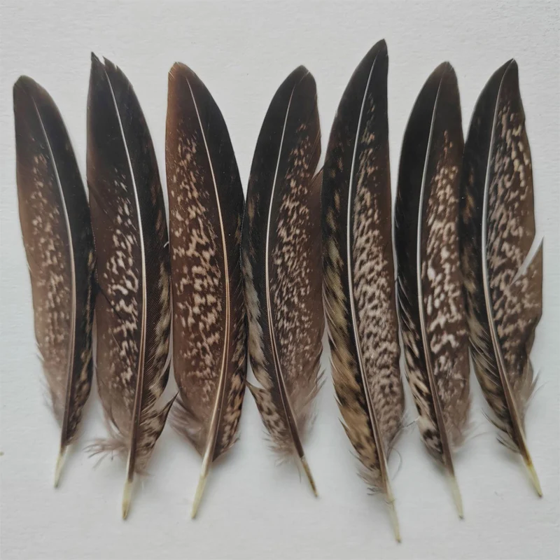 

20/50Pcs/Lot 4-6inches 10-15cm Nature LADY AMHERST PHEASANT Tail Feathers Loose Quills for Carnival/Crafts/Plume Decoration
