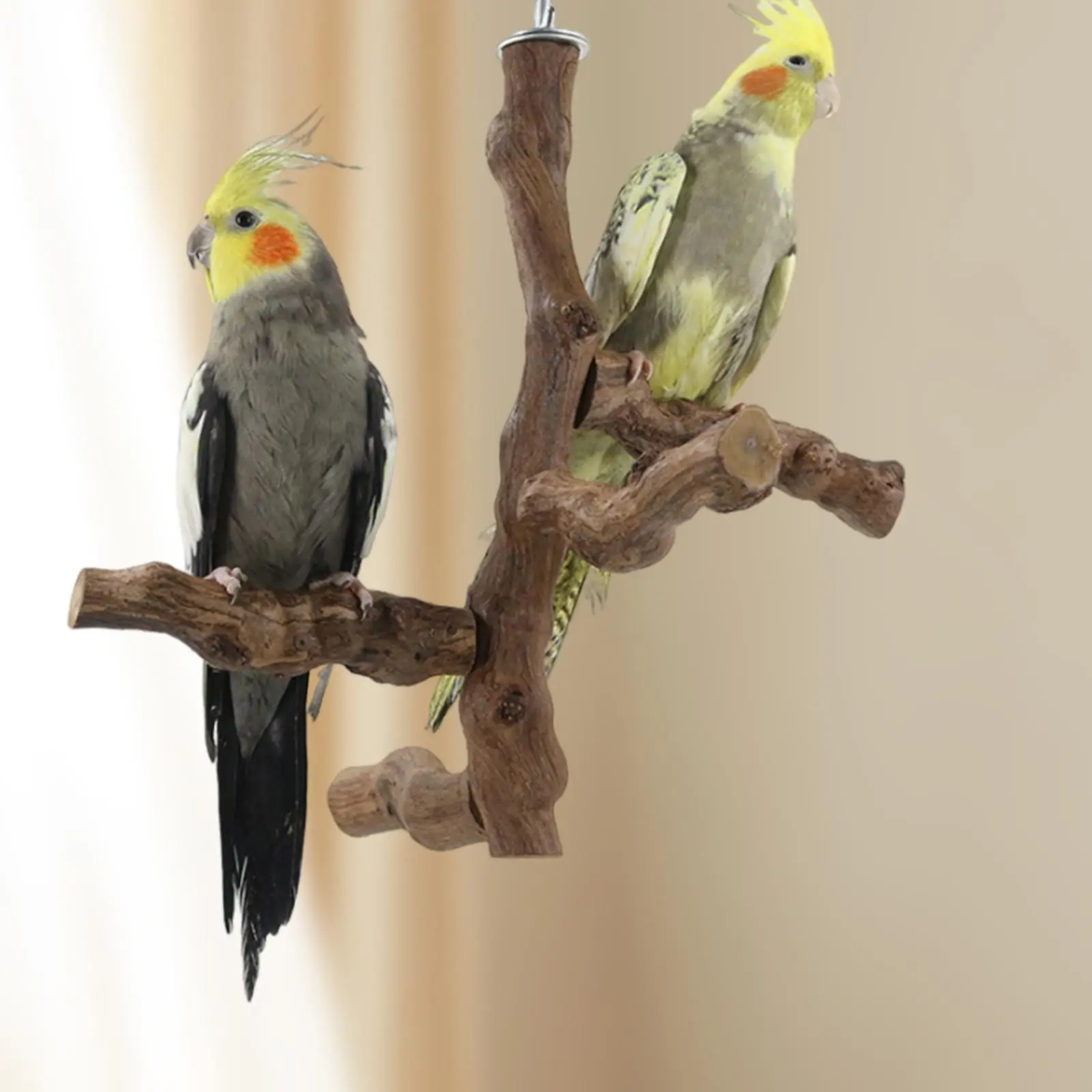 Bird Perch Cage Accessories Hanging Standing Multi Branch Perch Parrot Perch for Macaws Love Birds Cockatiels Conures Parrots