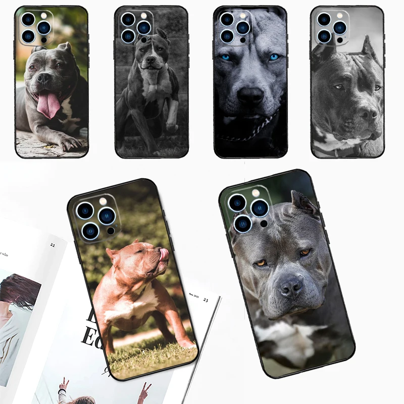 Pit Bull Pitbull Do… - image