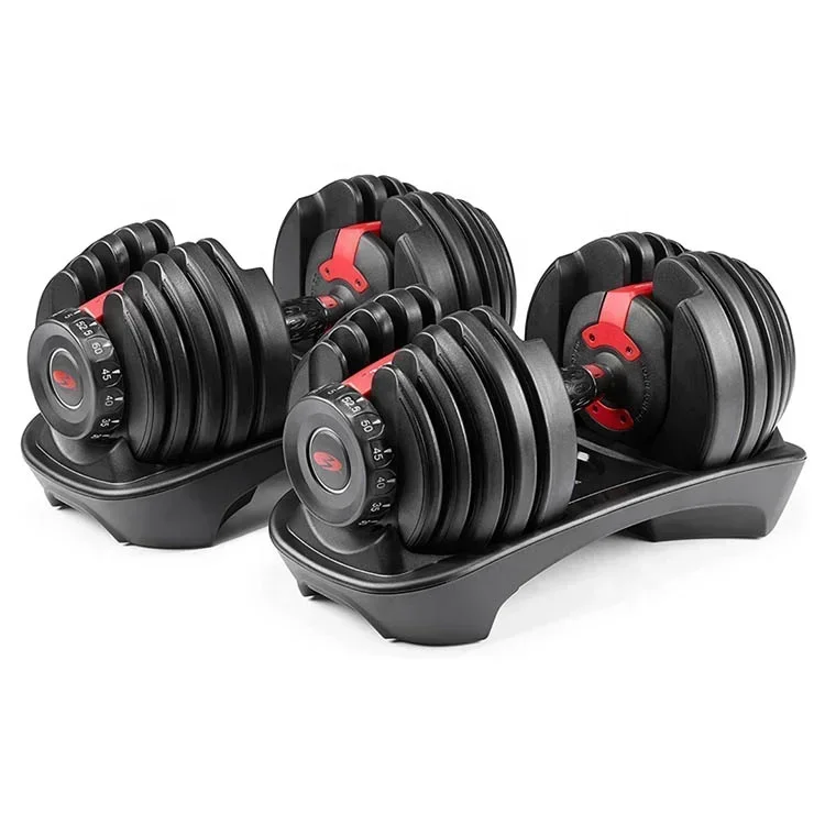 Dumbbell 24kg 40kg Custom Gym Fitness Adjustable Dumbbells for Sale Cheap Mainland China Fitness Equipment