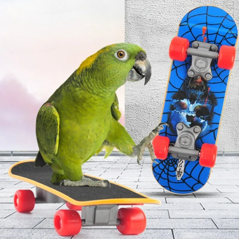 Parrot Mini Skateboard Bird Toy Frosted Anti Slip Parrot Training Cart Firm Wearable Trend Sticker Scooter Color Random