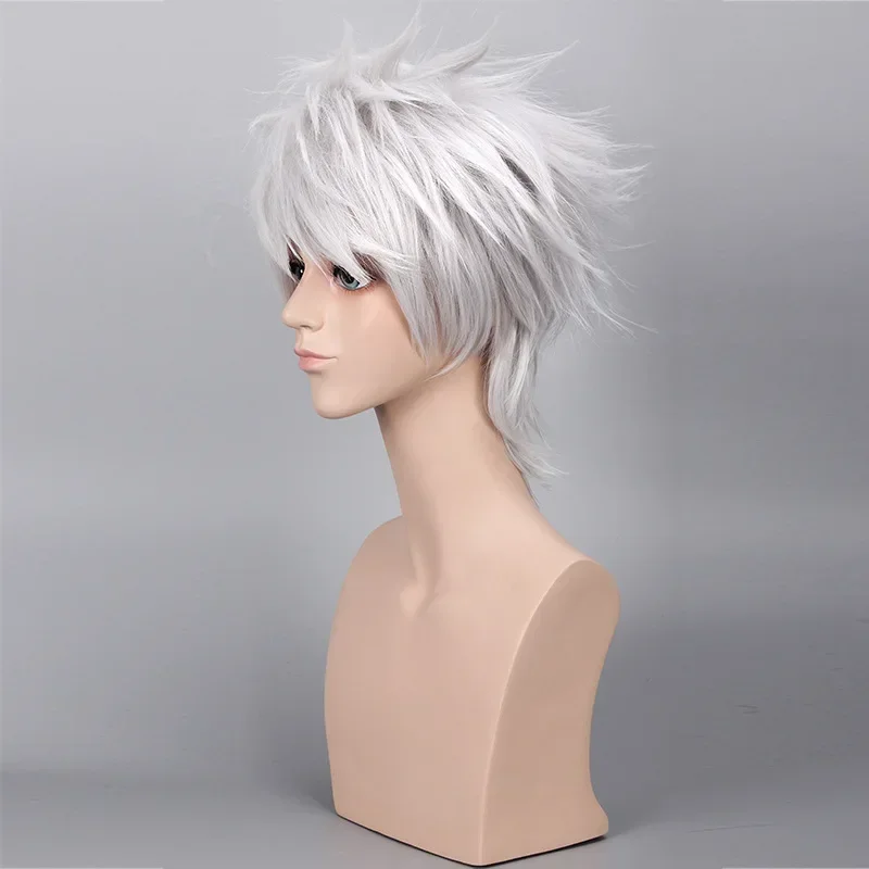 Synthetic Silver Grey Short Cosplay Wig Heat Resistant Anime Costume Party Role Play Halloween Wigs for Men Women