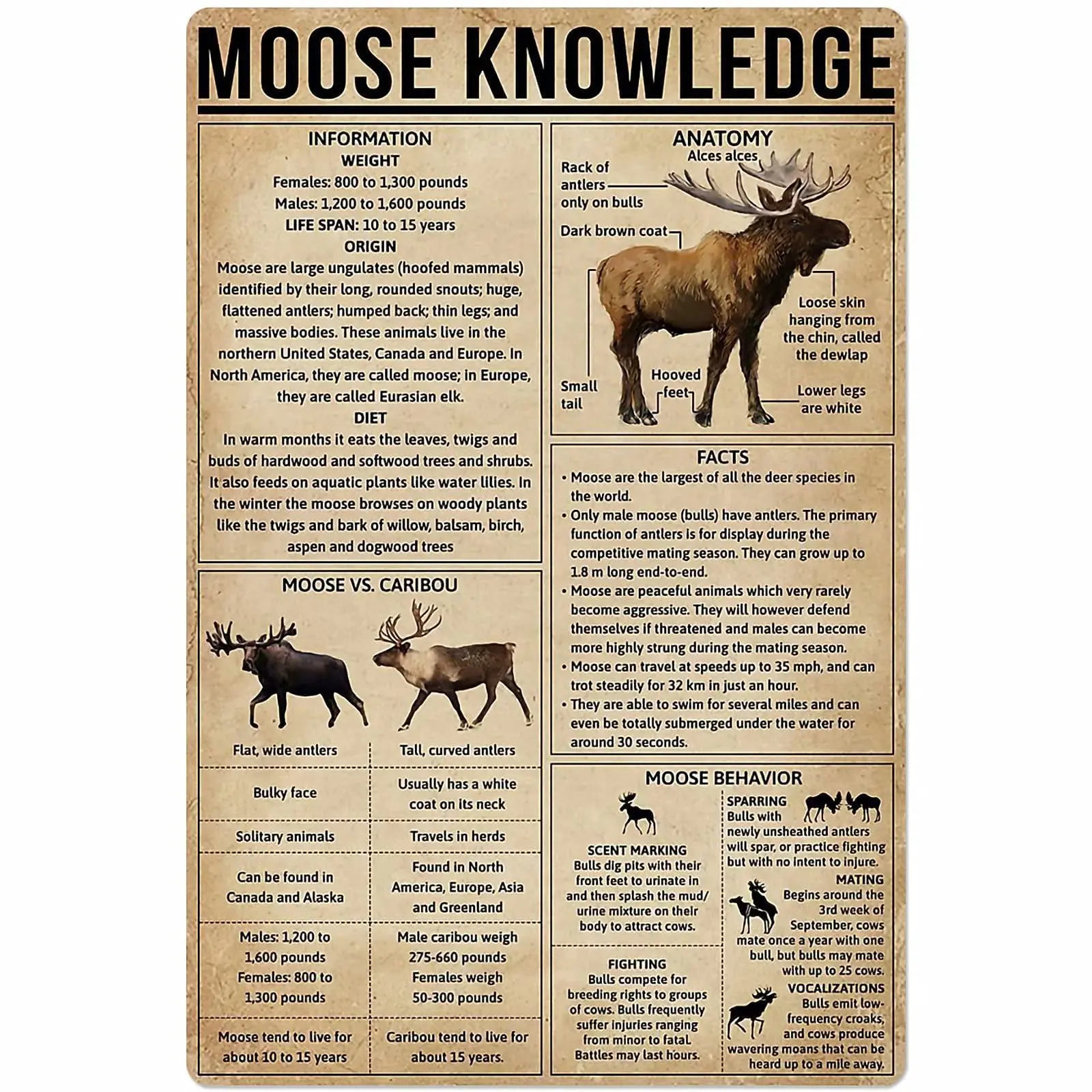 

Veidsuh Moose Knowledge Retro Poster Plaque for Club Cafe Bar Home Kitchen Wall Decoration