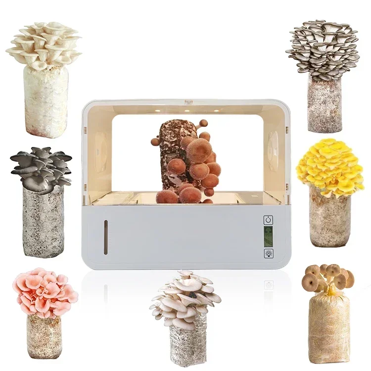 UKIOK Still Air Box Spores Horticulture Supplies Top Gardening Gift Mini Mushroom Grow Kit