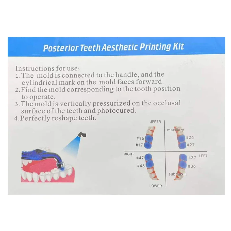 1Set Dental Orthodontic Posterior Teeth Aesthetic Printing Kit Printing Restoration Teeth Quick Built Dentistry tools Material