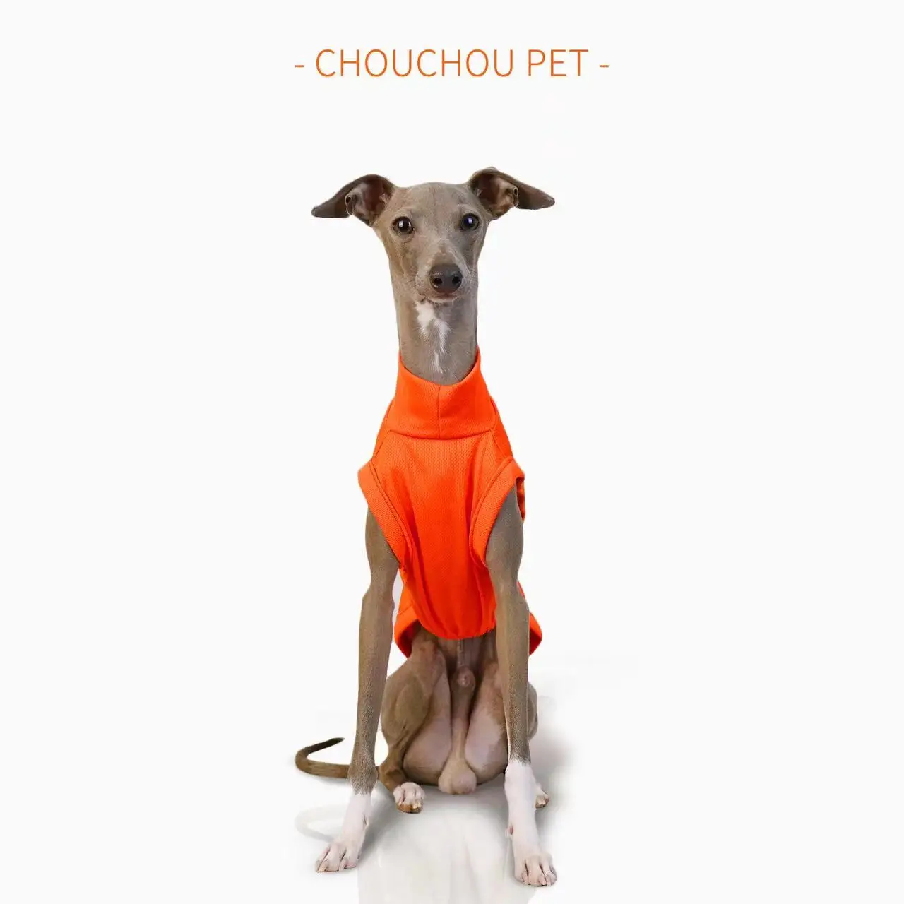 Summer Breathable Dog Vest Outdoor Sun Protection Pet Clothes Cool and Comfortable Iggy Whippet Small and Medium Dog Clothes