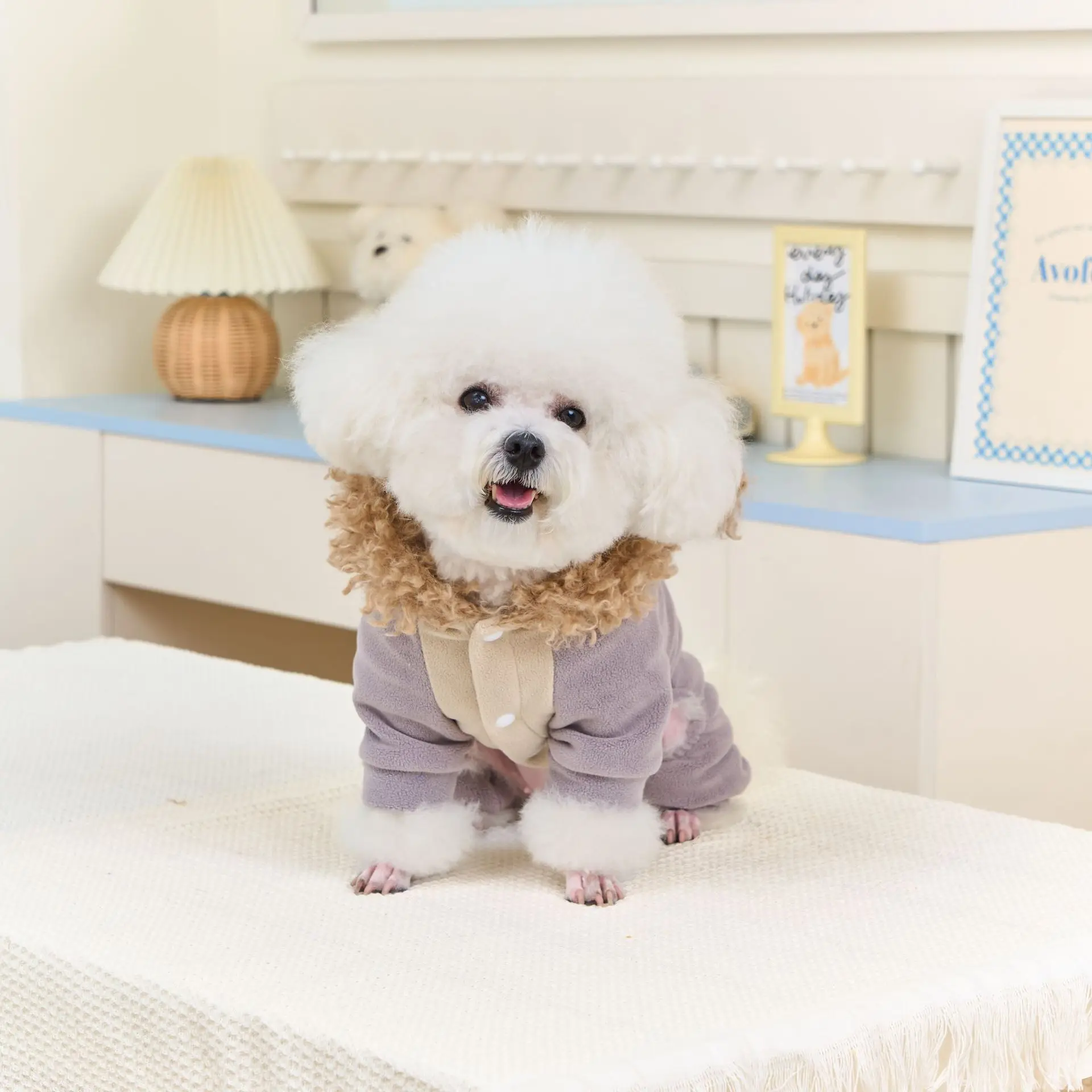 زي كلب الأسد الرائع والشرس لأحتفالات الخريف/الشتاء. مثالية لزي الأسد المريح على شكل كلب عيد الميلاد من Howllween #2