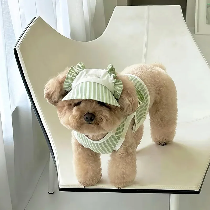 Free Hat Open Spring Puppy Weste Teddy Gestreiftes Taschen-T-Shirt Bichon Sommerkleidung Schnauzer Dünne leibende Kleidung mit zwei Beinen