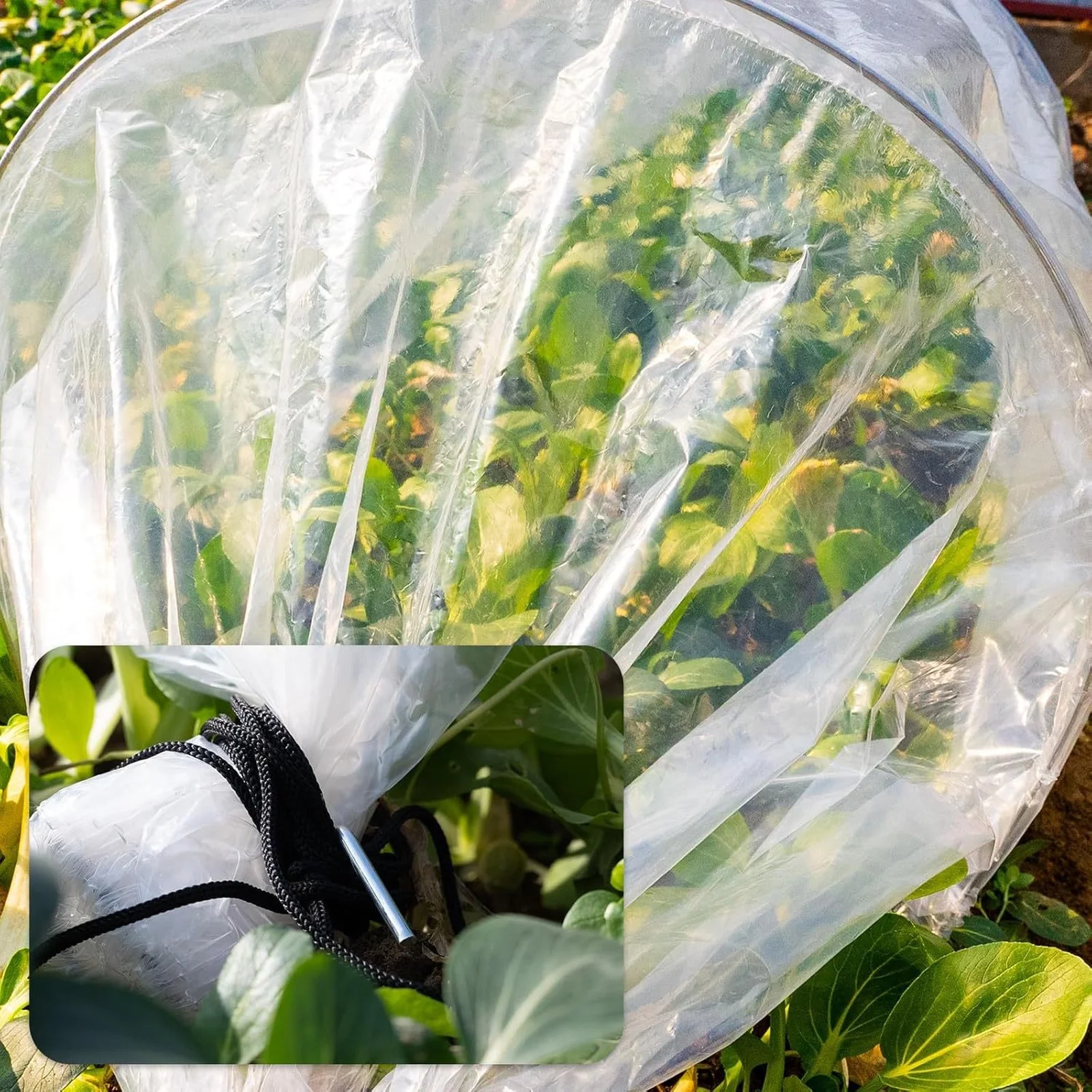 Serra a tunnel 2 in 1 per giar - Plant Parent Kit recensione e prezzo
