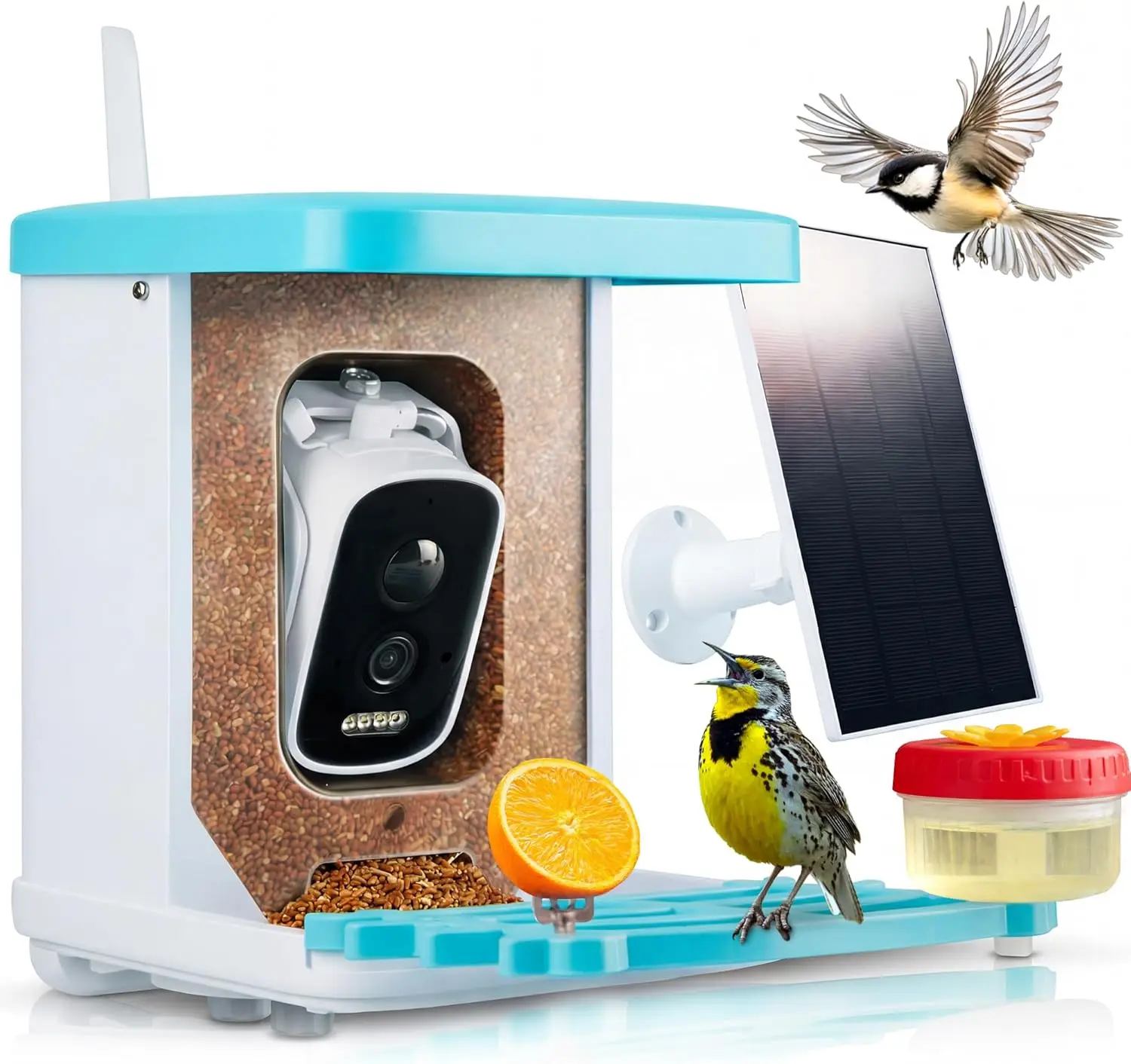 Solar Bird Feeder Camera 2.5K, 50m WiFi, 10000+ Species ID, Night Vision, 1.5L
