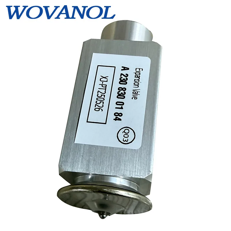 

1pc 2308300184 A/C Expansion Valve For Mercedes-Benz W221 W220 R230 C197 W463 X204 C207 A207 W212 W211 CL203 C204 S204 00-10