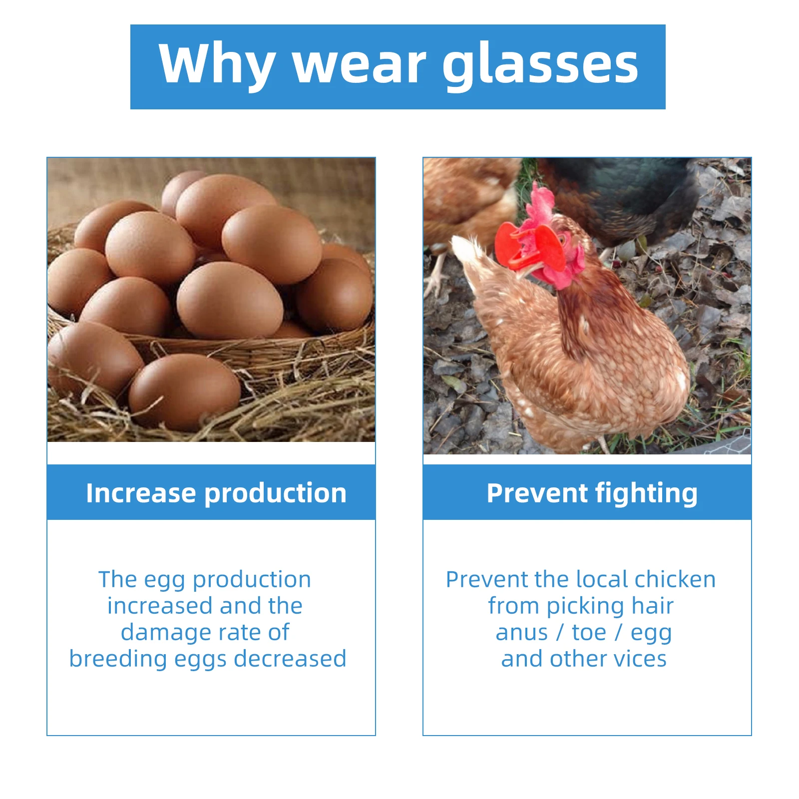 50/100 قطعة S/L/M البلاستيك لا الترباس نظارات الدجاج الدجاج حمامة الدراج مكافحة الانتقاء نظارات لوازم الدواجن