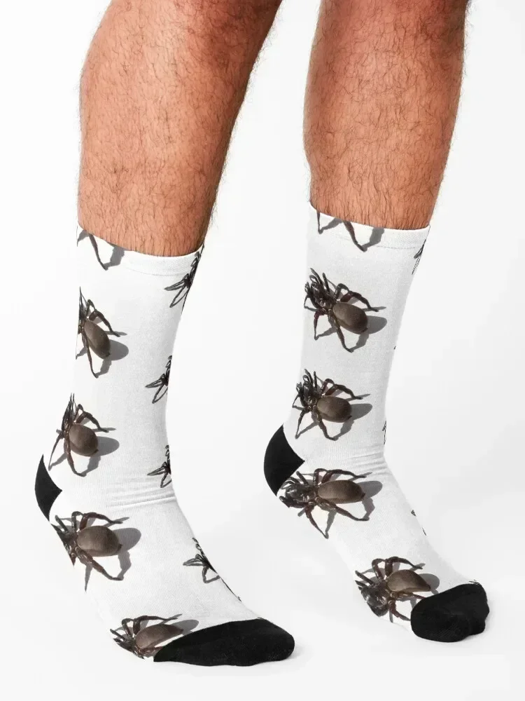 Tarantula Socks fashionable Novelties hip hop Rugby Socks For Men Women's