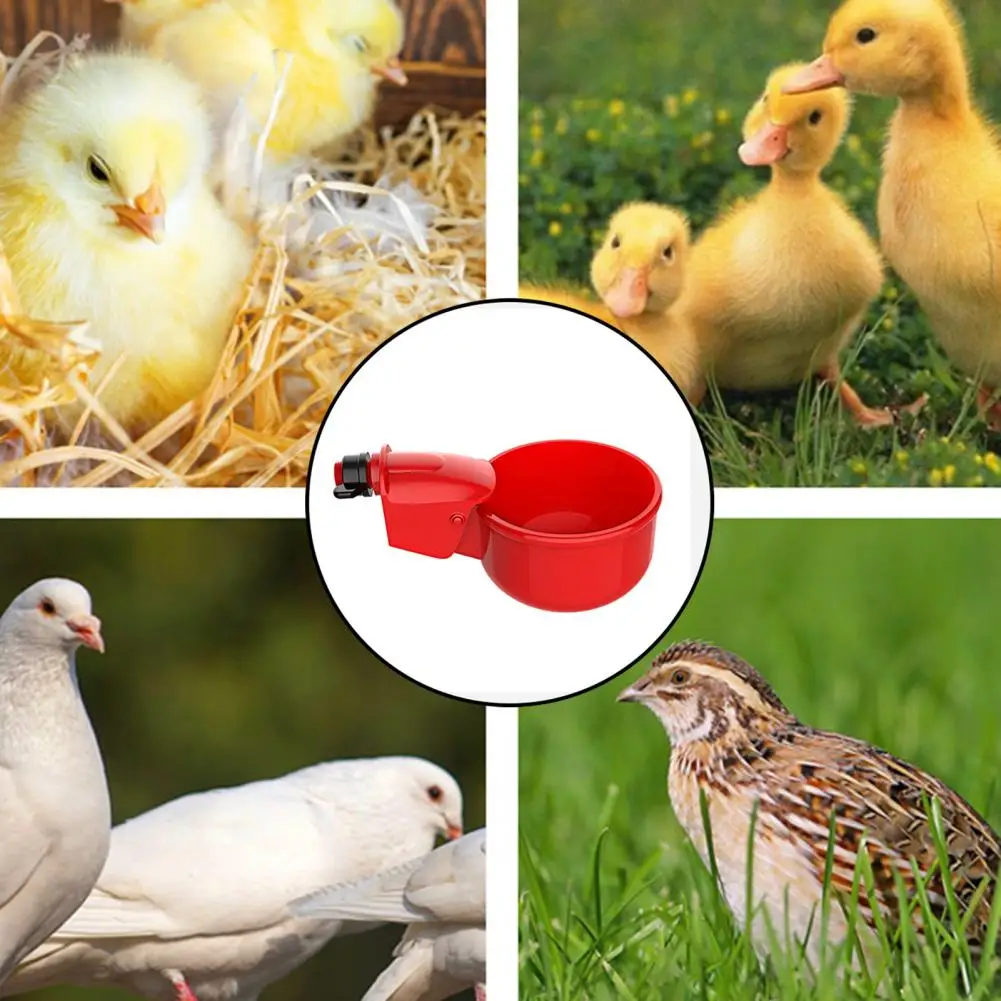 2Pcs Chicken Drinker Burr-free Chicken Feeder Bowl Spring Loaded Control Chicken Drinking Cup Automatic Drinker Poultry Supplies