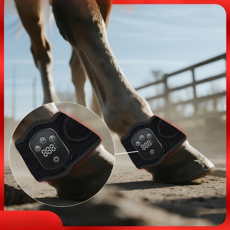 Pet physiotherapy instrument Light therapy Horseshoe infrared physiotherapy Horseshoe light Horseshoe leg intense exercise red