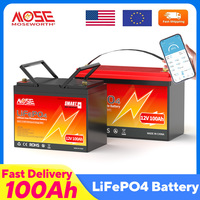 MOSEWORTH LiFePO4 12V 100Ah Battery Pack 12.8V Lithium Battery 8000+ Cycles With Bluetooth BMS Grade A For Boat RV Campers