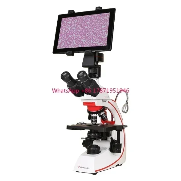 

BMC500 40X-1600X Customizable LCD Screen Medical Laboratory Digital Camera Binocular Biological Microscope for Pathology