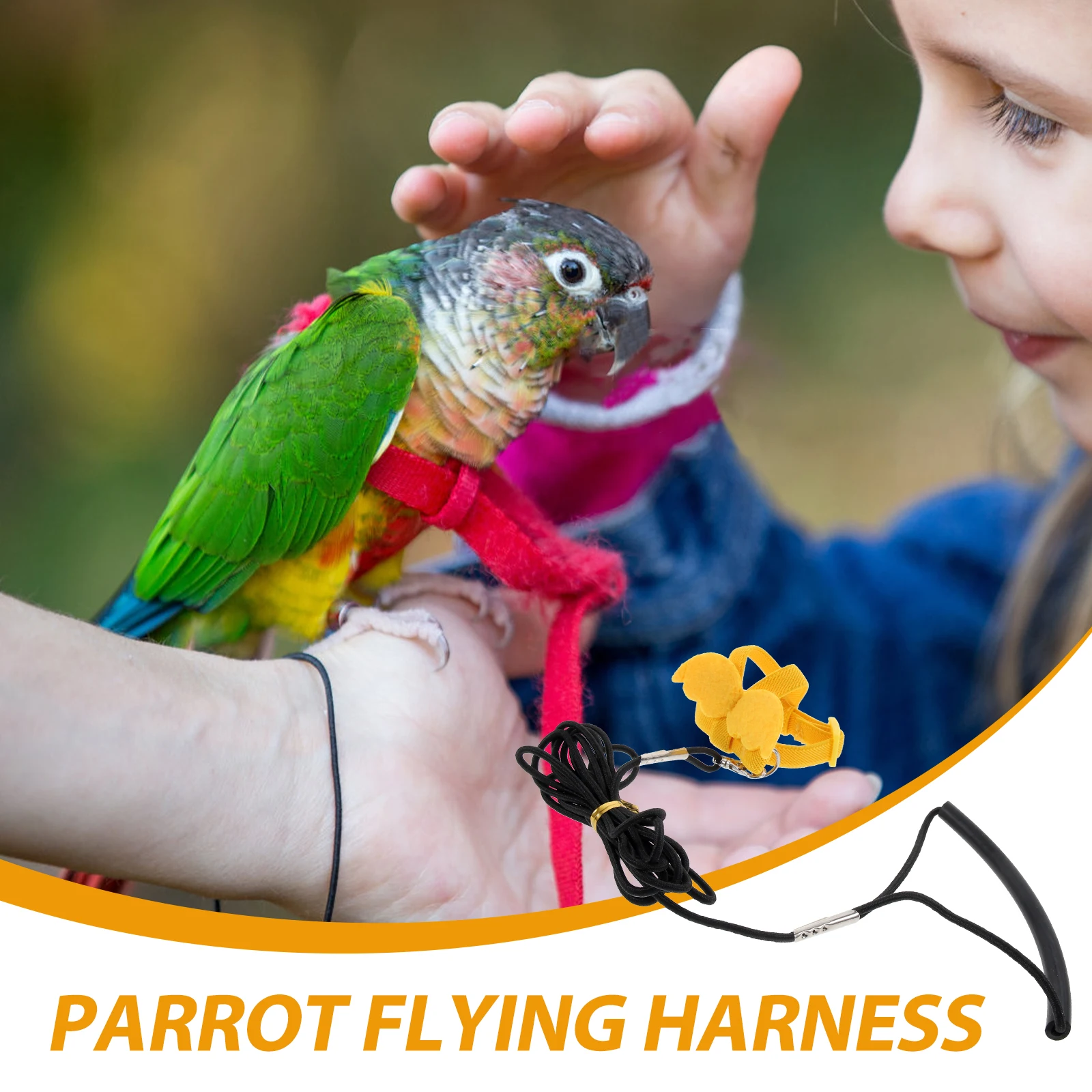 

Bird Rope Parrot Supplies Harness Strap Parakeet Leash Accessories and Nylon Outdoor Flying Portable Cockatiel