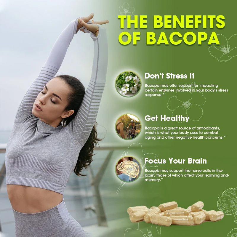 BEWORTHS Bacopa Monnieri Capsules for Brain Health Supporting Calmness Support Cognition and Focus Enhances Energy and Stamina