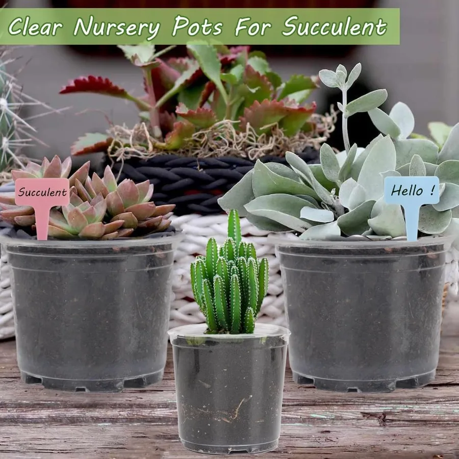 36 عبوة من أوعية الحضانة الشفافة مقاس 6 بوصات للأواني الشفافة للنباتات مع 40 قطعة من أوعية النباتات الشفافة مع فتحات تصريف البذور