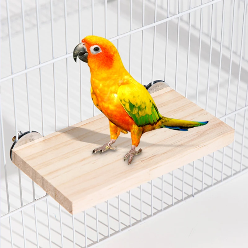 Piattaforma di supporto in legno Pet Bird Toys Rack per pappagalli posatoi per criceti Paw Clean Cage Board accessori per Gerbils topi giocattoli in