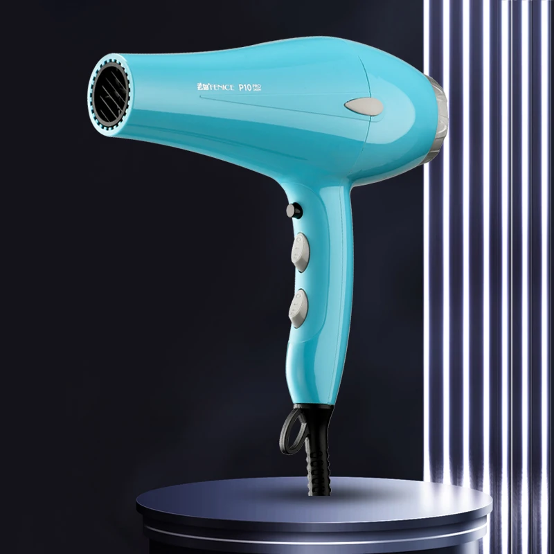 Fenice Pet hair dryer high power Teddy water blower silent dryer Cat Dog Bath quick drying hair dryer