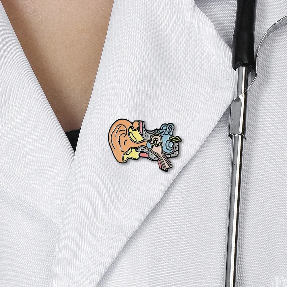 DCARZZ Cochlear Enamel Brooch Medical Anatomy Pin Ear Model Badge Biology Jewelry for Doctor Nurse Medicine Student