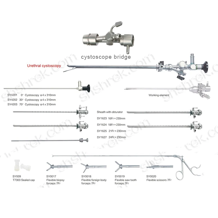 Factory Price Rigid Pediatric Cystoscope for Urology EndoscopyFactory‑direct shipped components    Accessories