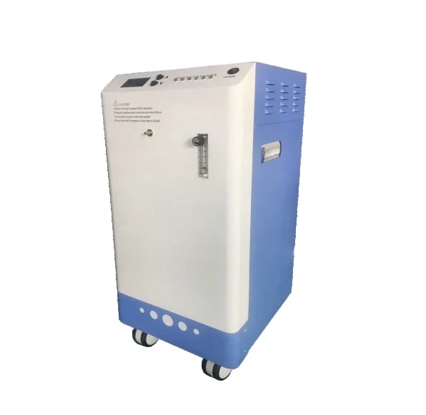 

Factory direct sales 3L OZONE GENERATOR