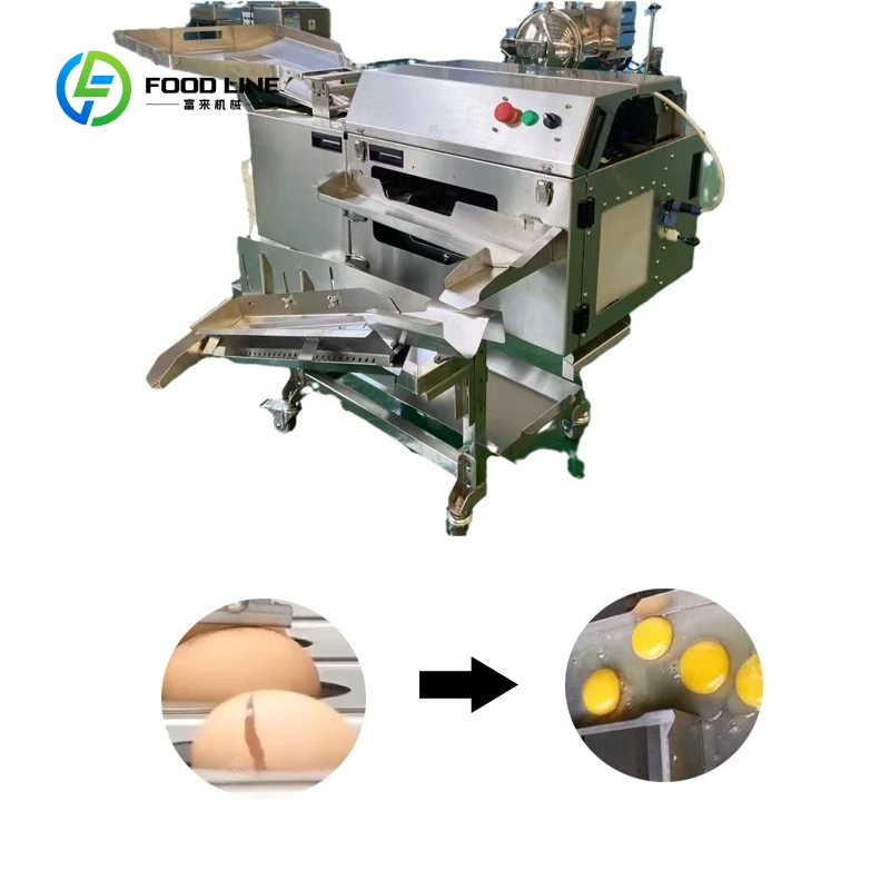 Stainless Steel Single-Row and Double-Row High-Efficiency Egg Yolk and Egg White Separator