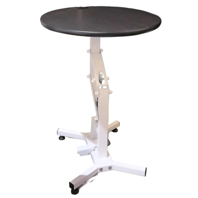 Pet Grooming Table for Small Dogs&Cats-Hydraulic Lift, 360° Rotation Anti-Slip Platform, Foldable Professional Styling Station‌