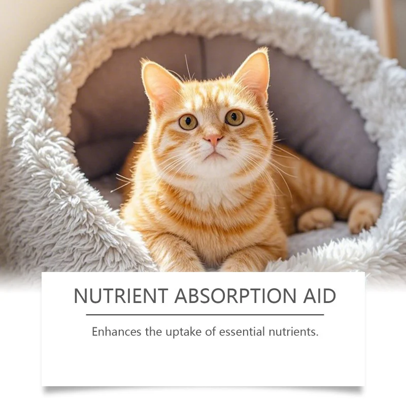 

Everyday Oily Dull Fragile Skin Moisturize Nourish Hydrate Control Excess Shine and Improve Luster of Weakened Skin